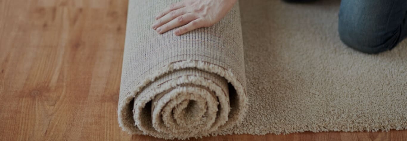 Carpet Wrinkle Repair
